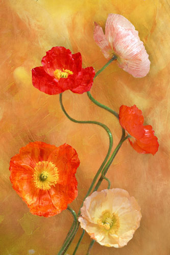 Compatible Blumen JAHRRIESNGE  for flowers-lpf07598 