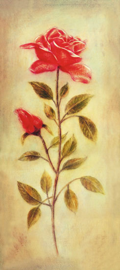 Compatible Blumen JAHRRIESNGE  for flowers-lpf07674 