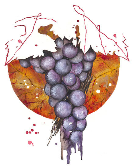 Compatible Blumen JAHRRIESNGE  for grapes lpf08134 