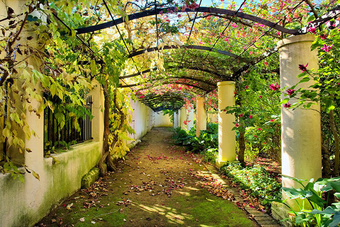 Compatible Landschaft JAHRRIESNGE  for flowers lpf08285 