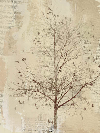 Compatible Landschaft JAHRRIESNGE  for trees lpf08370 