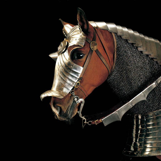 Compatible Tiere Jahrriesnge  for horse lpf08672 