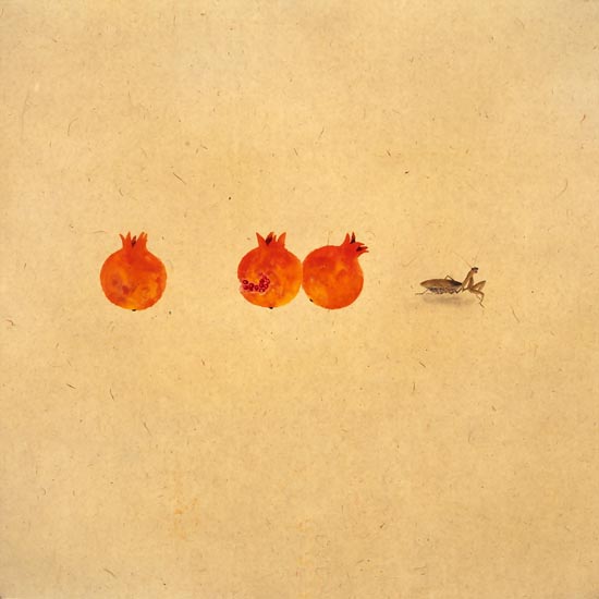 Compatible Tiere Jahrriesnge  for mantis lpf08859 