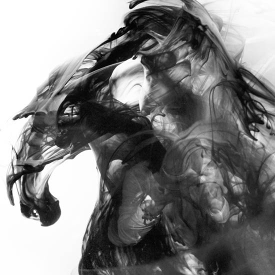 Compatible Landschaft JAHRRIESNGE  for untitle lpf09514 