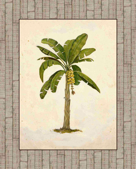 Compatible Blumen JAHRRIESNGE  for trees lpf09609 