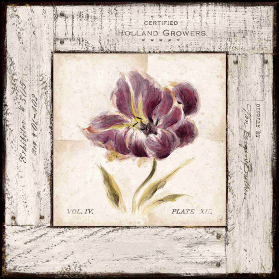 Compatible Blumen JAHRRIESNGE  for flowers lpf09666 