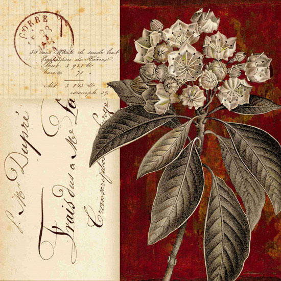 Compatible Blumen JAHRRIESNGE  for flowers lpf09922 