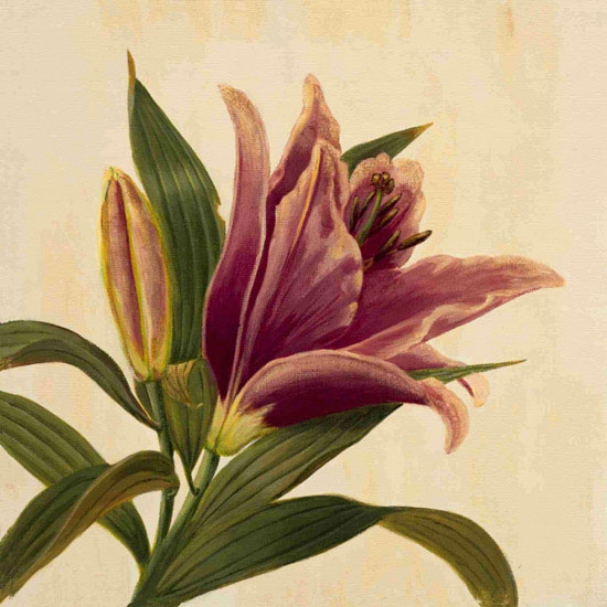 Compatible Blumen JAHRRIESNGE  for flowers lpf09939 