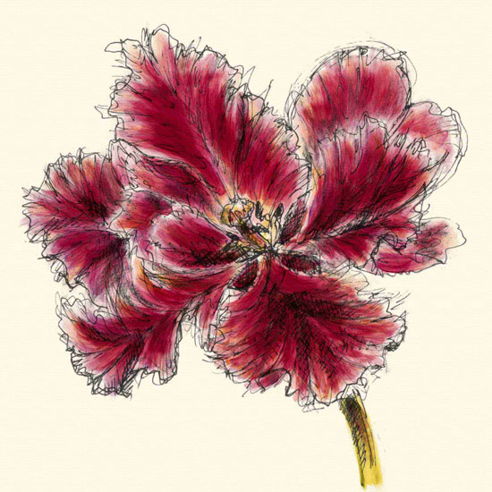 Compatible Blumen JAHRRIESNGE  for flowers lpf09982 