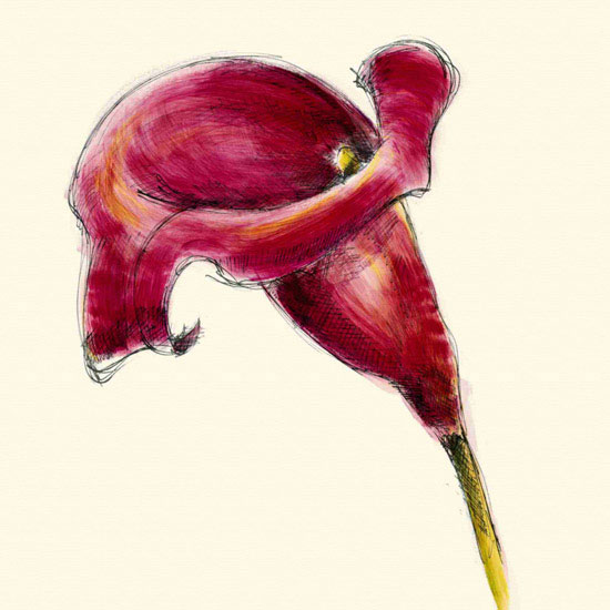 Compatible Blumen JAHRRIESNGE  for flowers lpf09985 