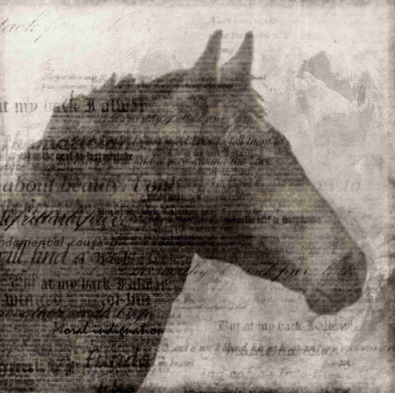 Compatible Porträt Jahrriesnge  for horse lpf10529 