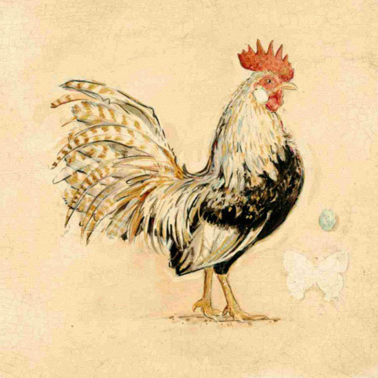 Compatible Tiere Jahrriesnge  for cock lpf10565 