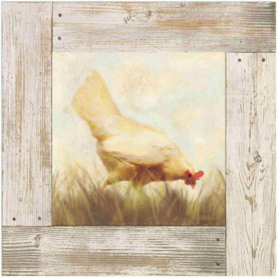 Compatible Tiere Jahrriesnge  for hen lpf10582 