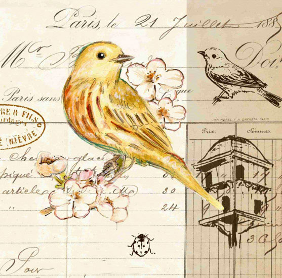 Compatible Tiere Jahrriesnge  for bird lpf10593 