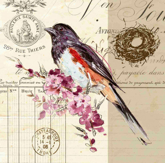 Compatible Tiere Jahrriesnge  for bird lpf10594 