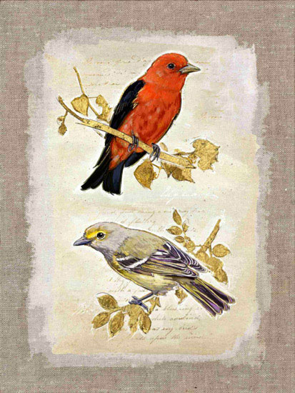 Compatible Tiere Jahrriesnge  for bird lpf10612 