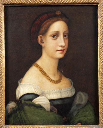 Compatible Porträt Jahrriesnge  for noble lpf11319 