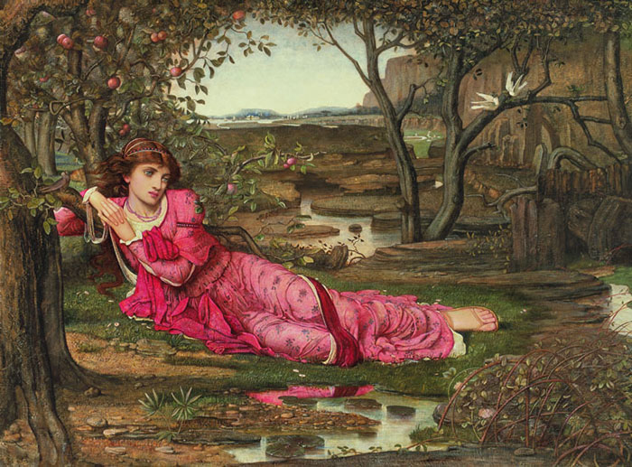 Compatible Porträt Jahrriesnge  for outdoor lpf12773 