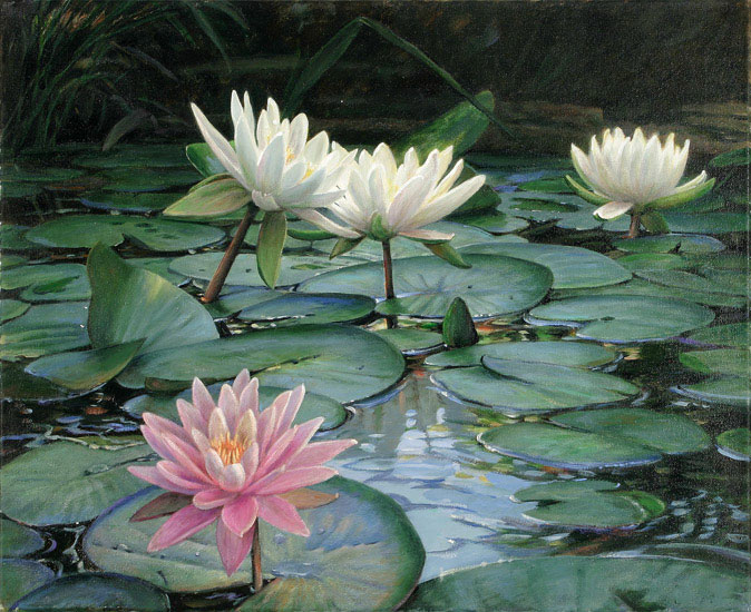 Compatible Stillleben Jahrriesnge  for flowers lpf13247 