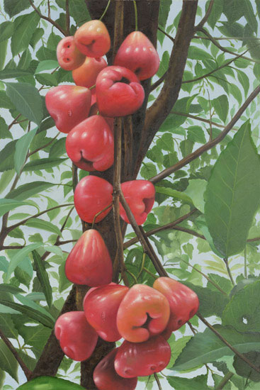 Compatible Stillleben Jahrriesnge  for fruits lpf13649 