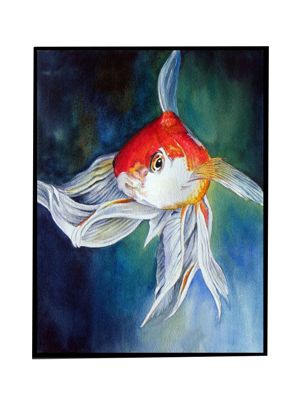 Compatible Tiere Jahrriesnge  for fish-lpg0496 