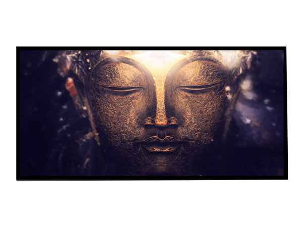 Compatible Porträt Jahrriesnge  for mural-lpg0938 