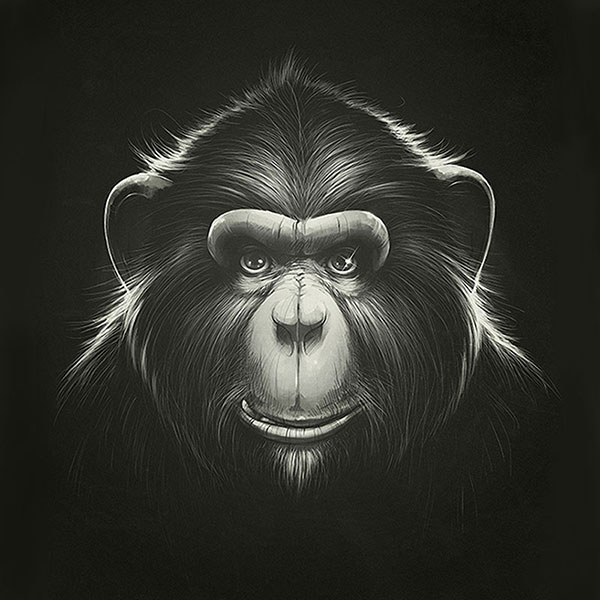 Compatible Tiere Jahrriesnge  for monkey-lpg1627 