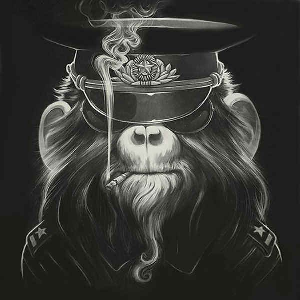 Compatible Tiere Jahrriesnge  for monkey-lpg1631 