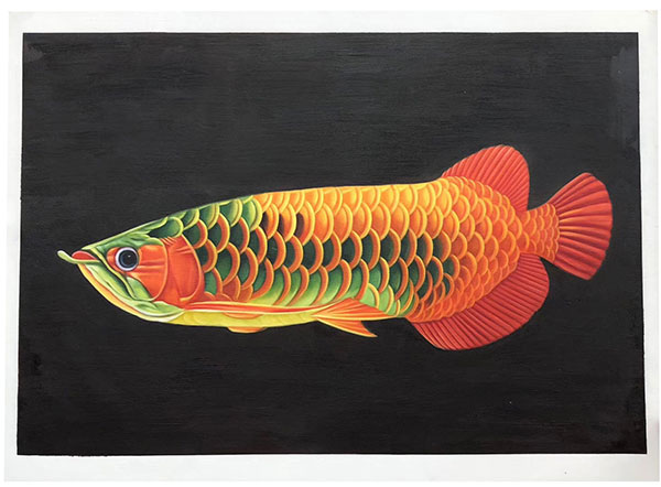 Compatible Tiere Jahrriesnge  for fish lpg2674 