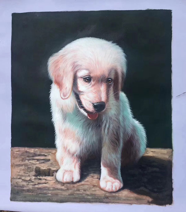 Compatible Tiere Jahrriesnge  for dog lpg2726 